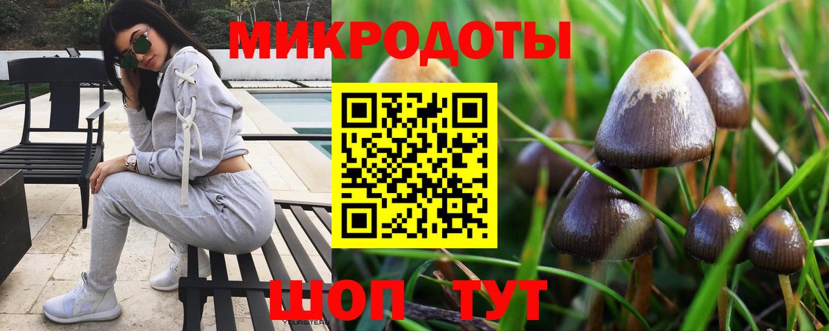 Галлюциногенные грибы прущие грибы Вязники